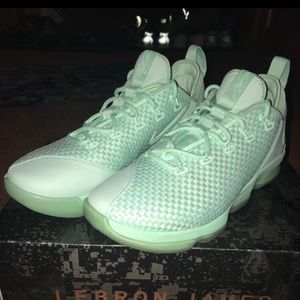 Nike Lebron (Men’s size 9.5)